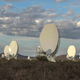 Several large white radio dishes on the brush-covered South African landscape.